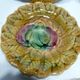Lot of 5 plates in barbotine sarreguemines decor fruits