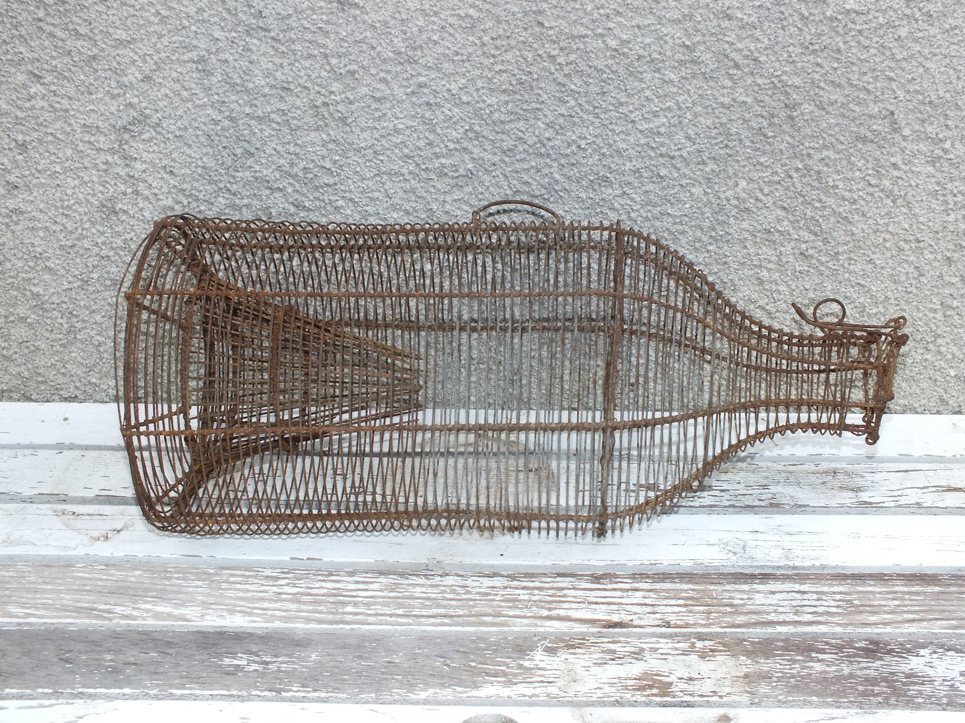 Old wire fish trap