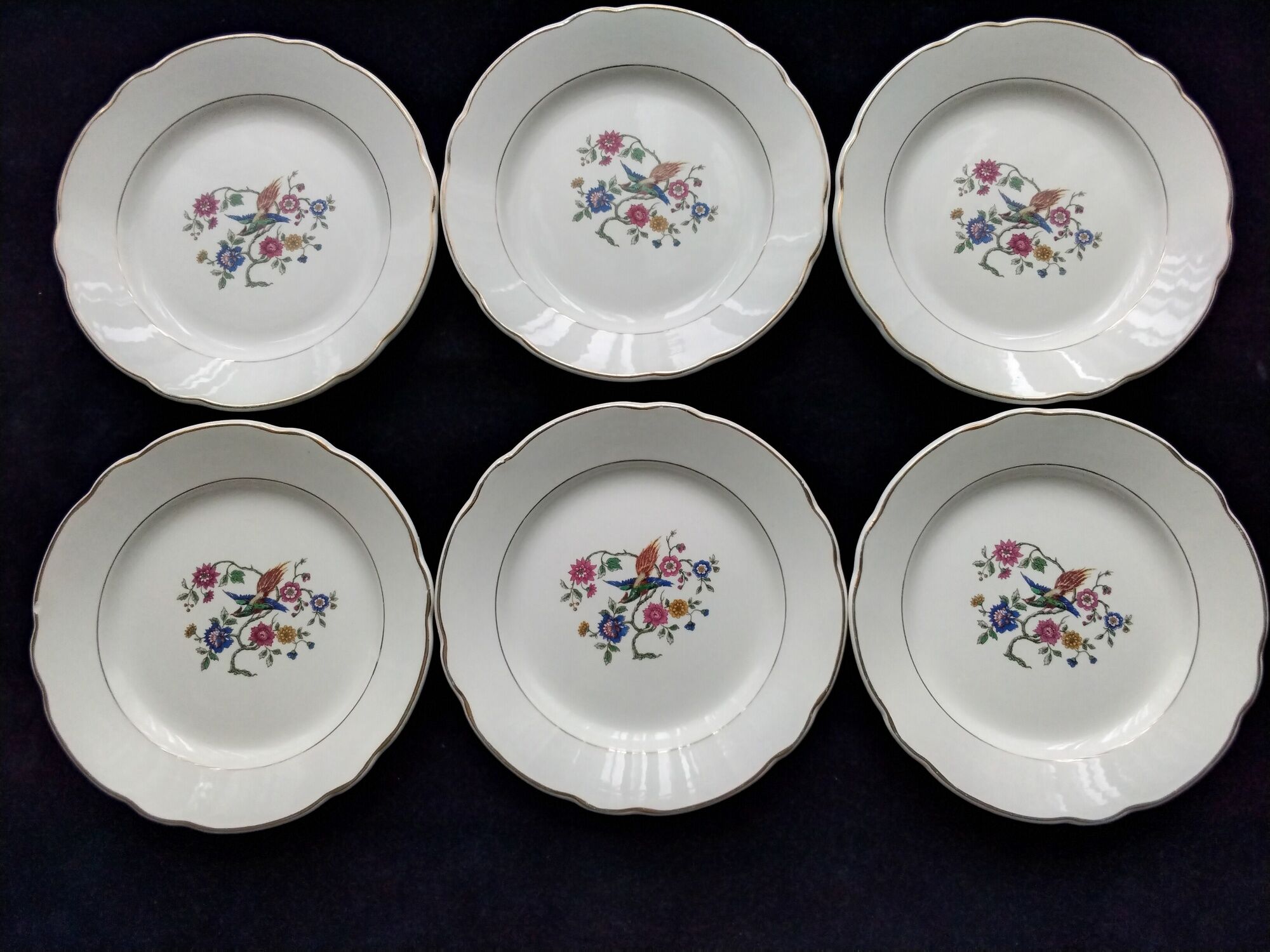 Set of 6 faience dessert plates digoin sarreguemines bird of paradise