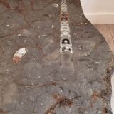 Fossilized coffee table