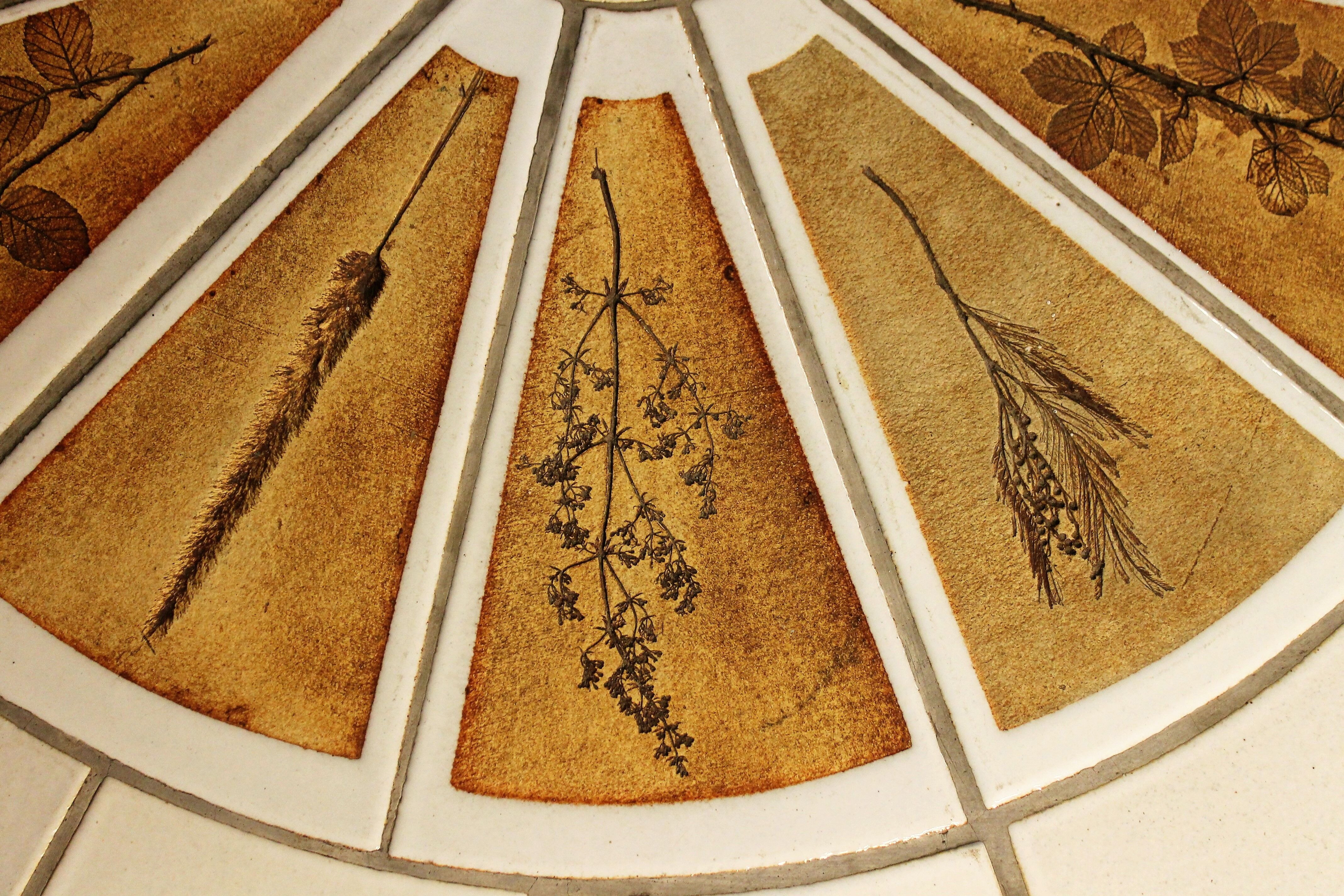 Coffee table "Herbarium" by Roger Capron 1960s