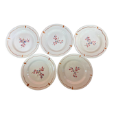 5 assiettes dessert vintage à fleurs
