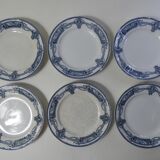 Iron earth 6 flat plates medaillon