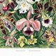Poster about “orchids”, based on an old lithograph from 1904.