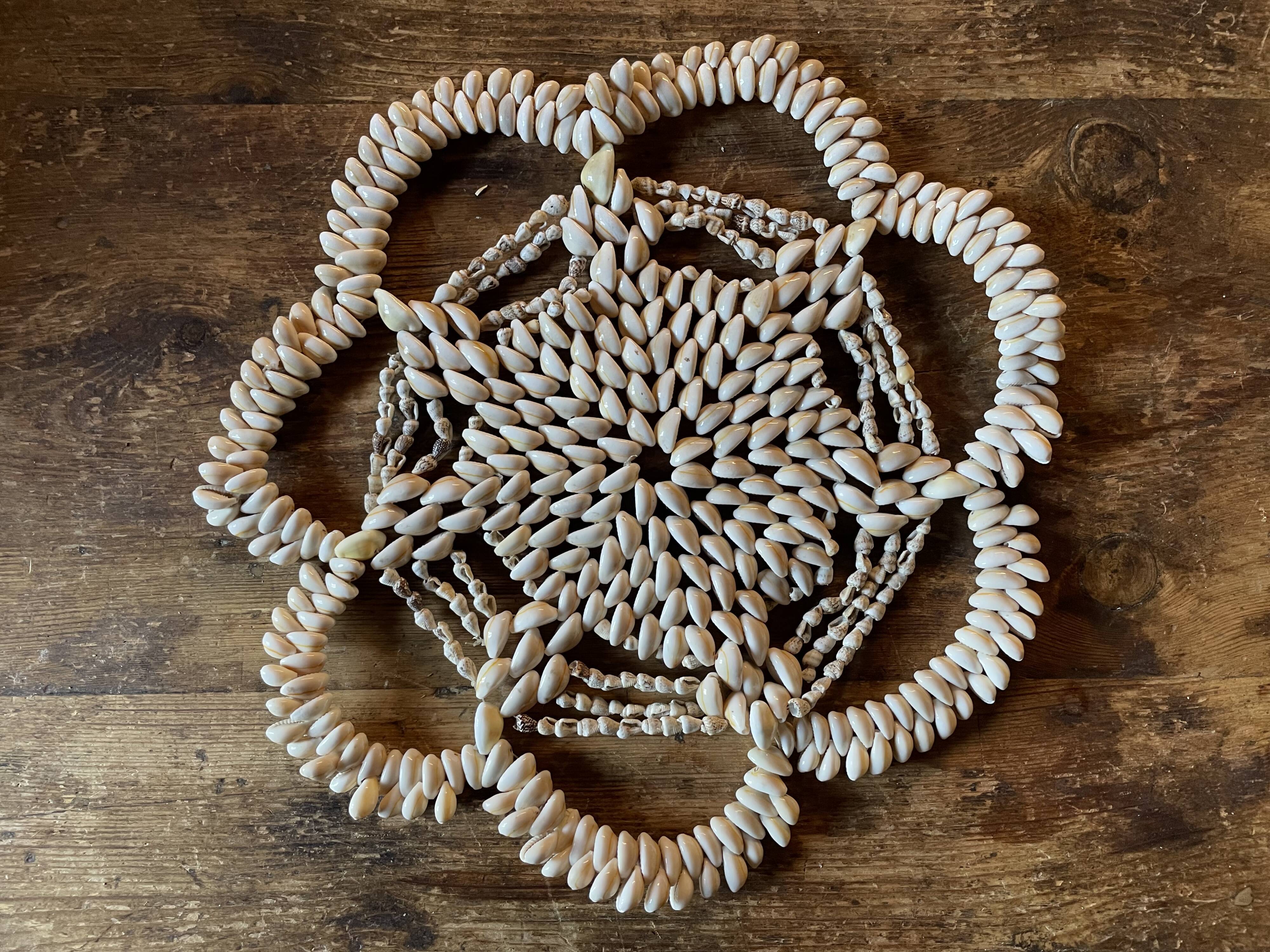 Vintage shell bottom