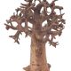 Bronze baobab