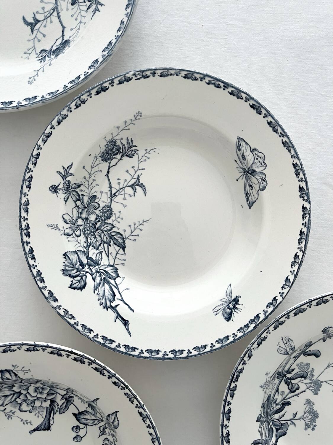 4 deep plates ironstone butterflies "Carmen" Sarreguemines