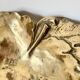 Plat décoratif en forme de feuille – Bronze doré – Début XXᵉ siècle