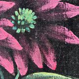 Vintage original velvet flower oil painting, red flower still life art