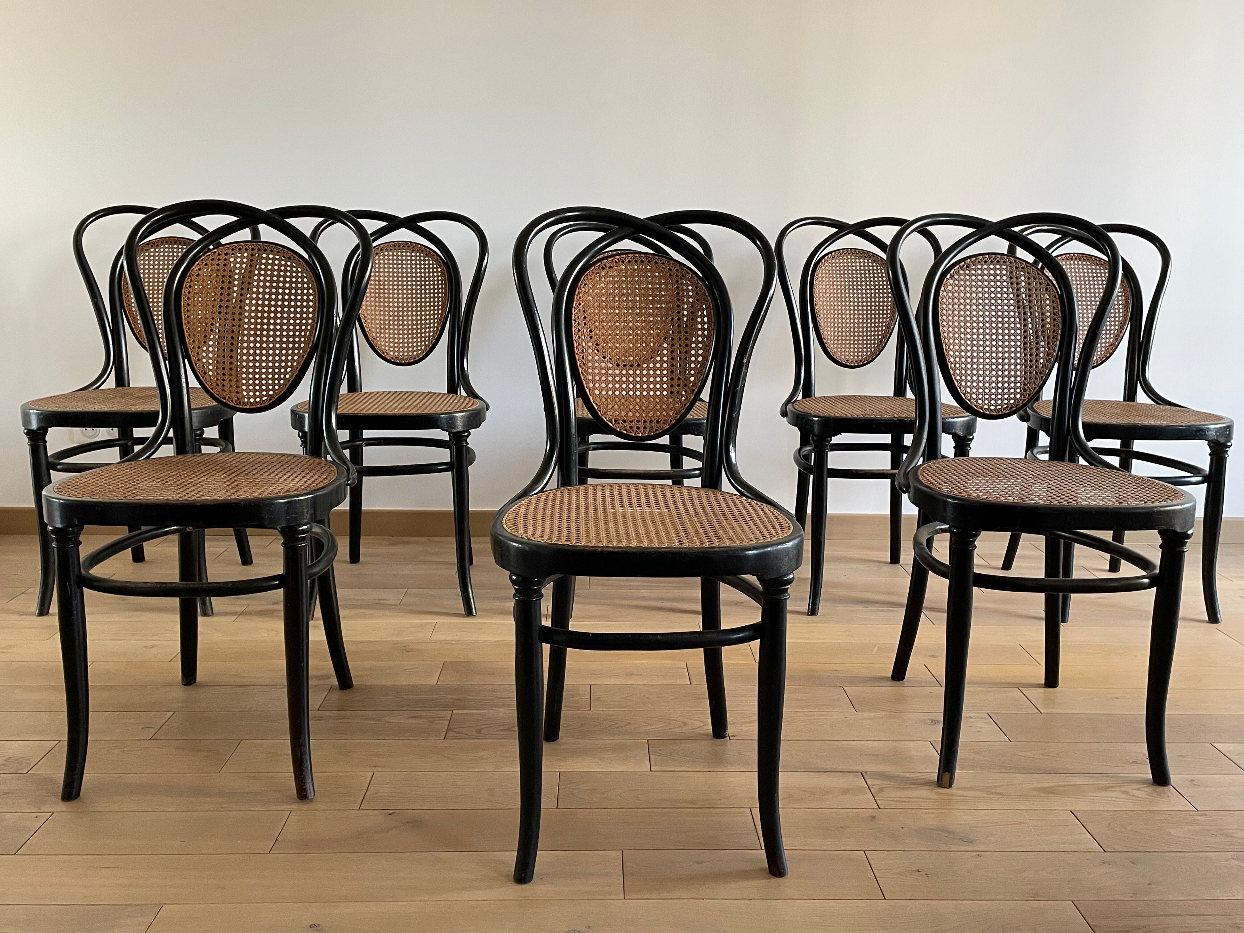 Series of 8 Viennese chairs N.33 by J&J Kohn, 1900