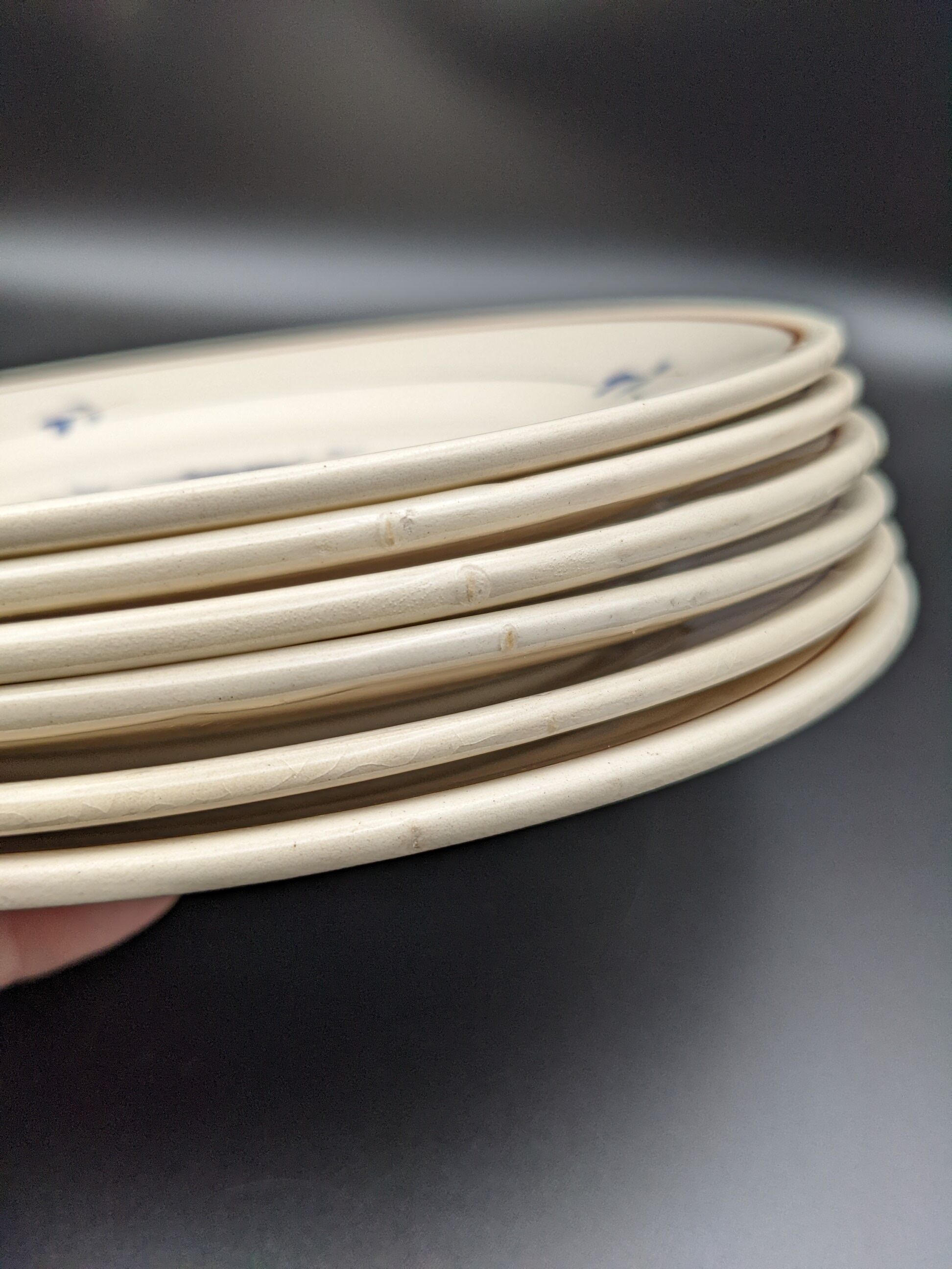 lot 6 flat plates Saint Amand model Prisca flowers