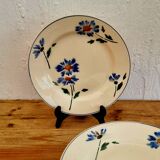 Set of 7 Moulin des Loups flat plates