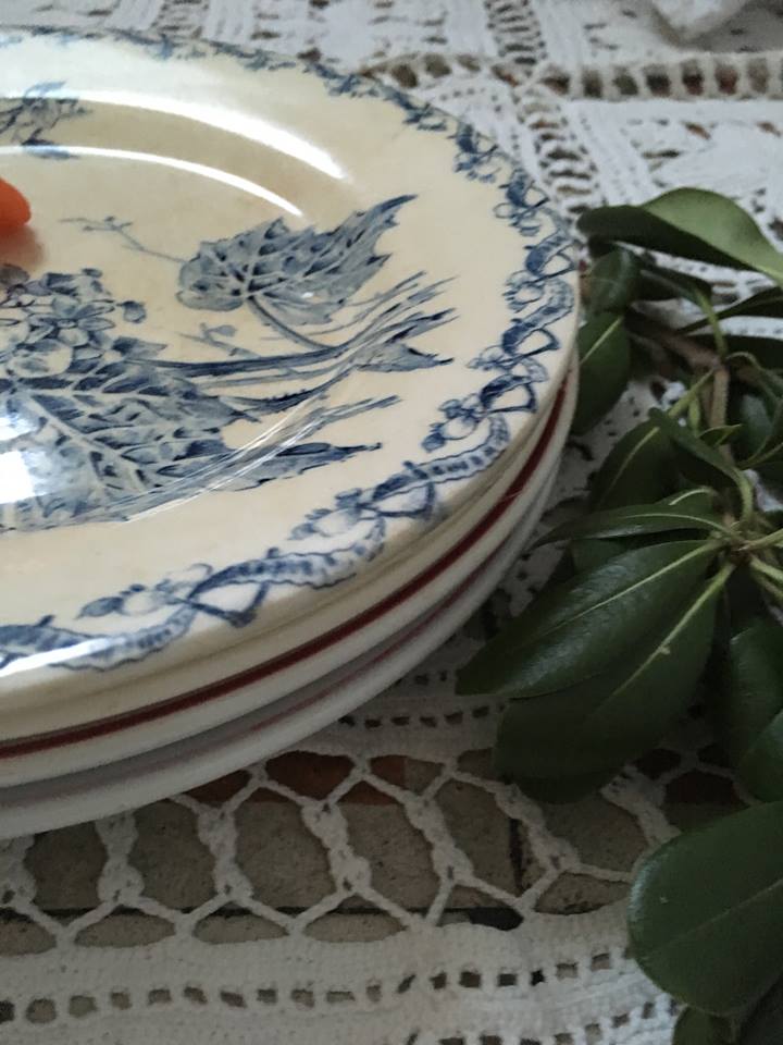 Six dinner plates don't match in red and blue
