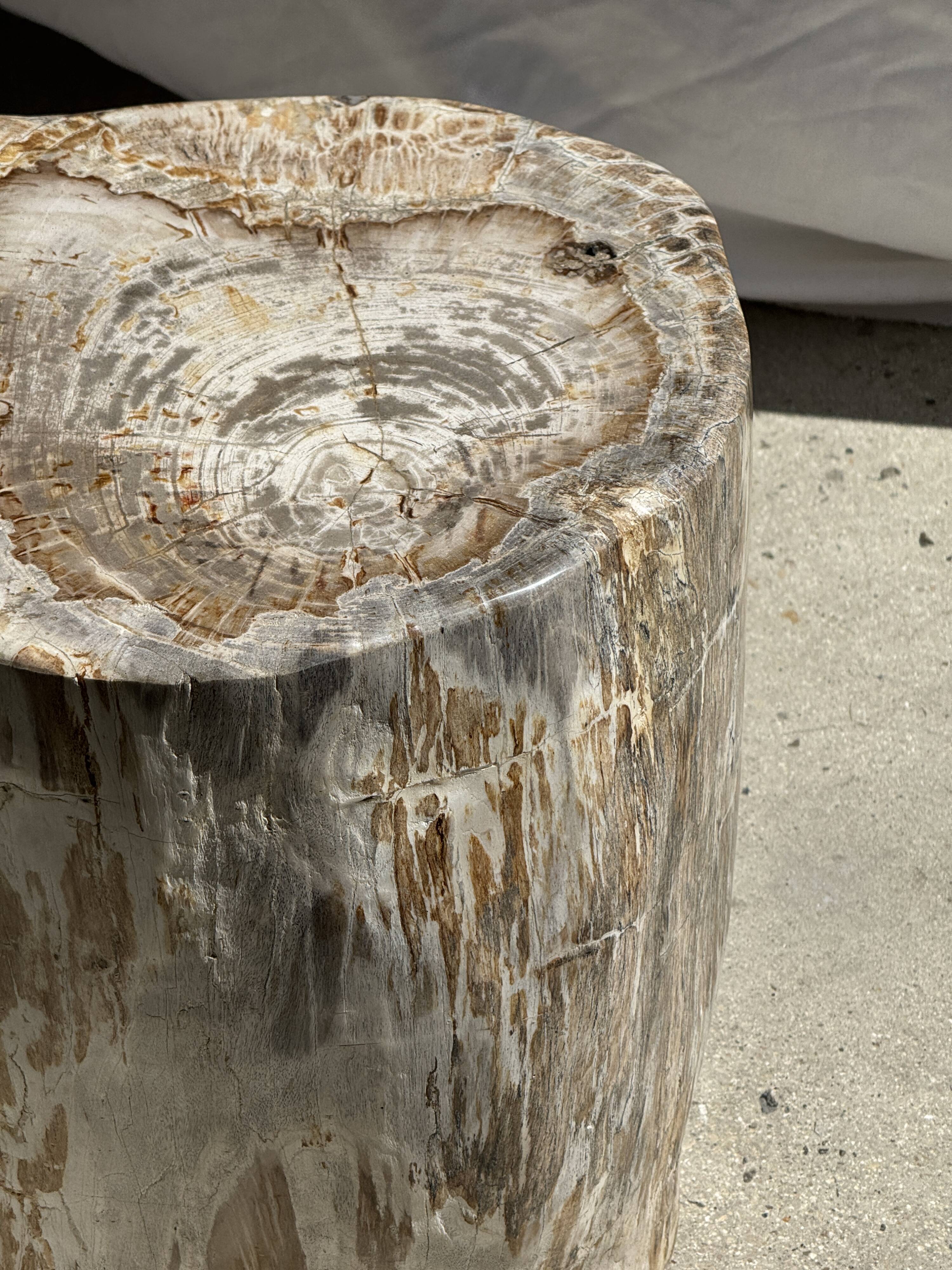 Very large white and grey petrified wood side table H45 D39 - 334