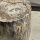 Very large white and grey petrified wood side table H45 D39 - 334