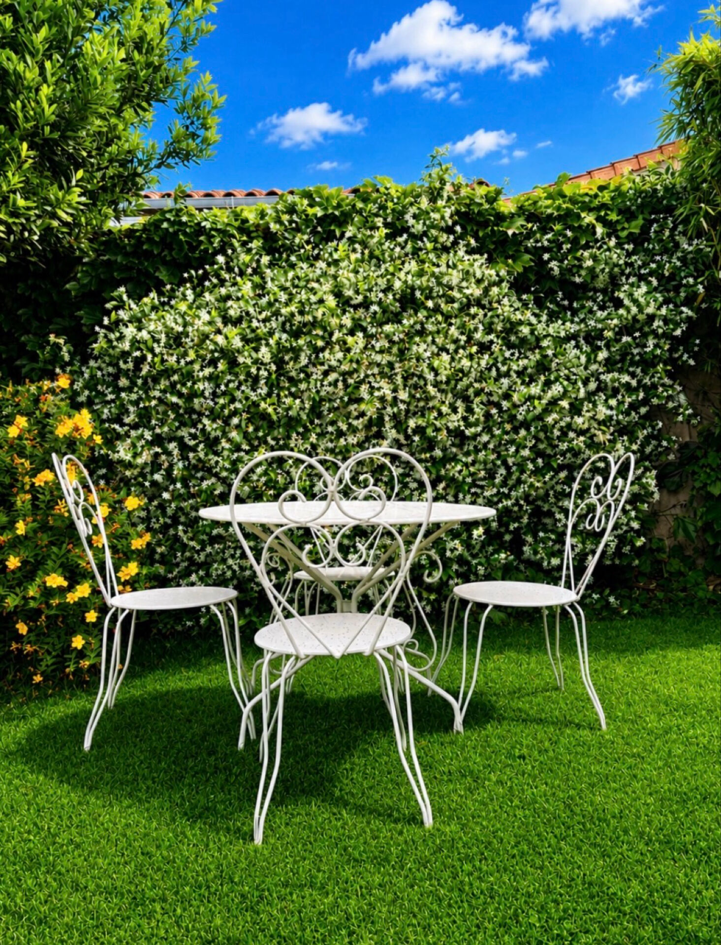 Salon de jardin rétro en fer forgé des années 50