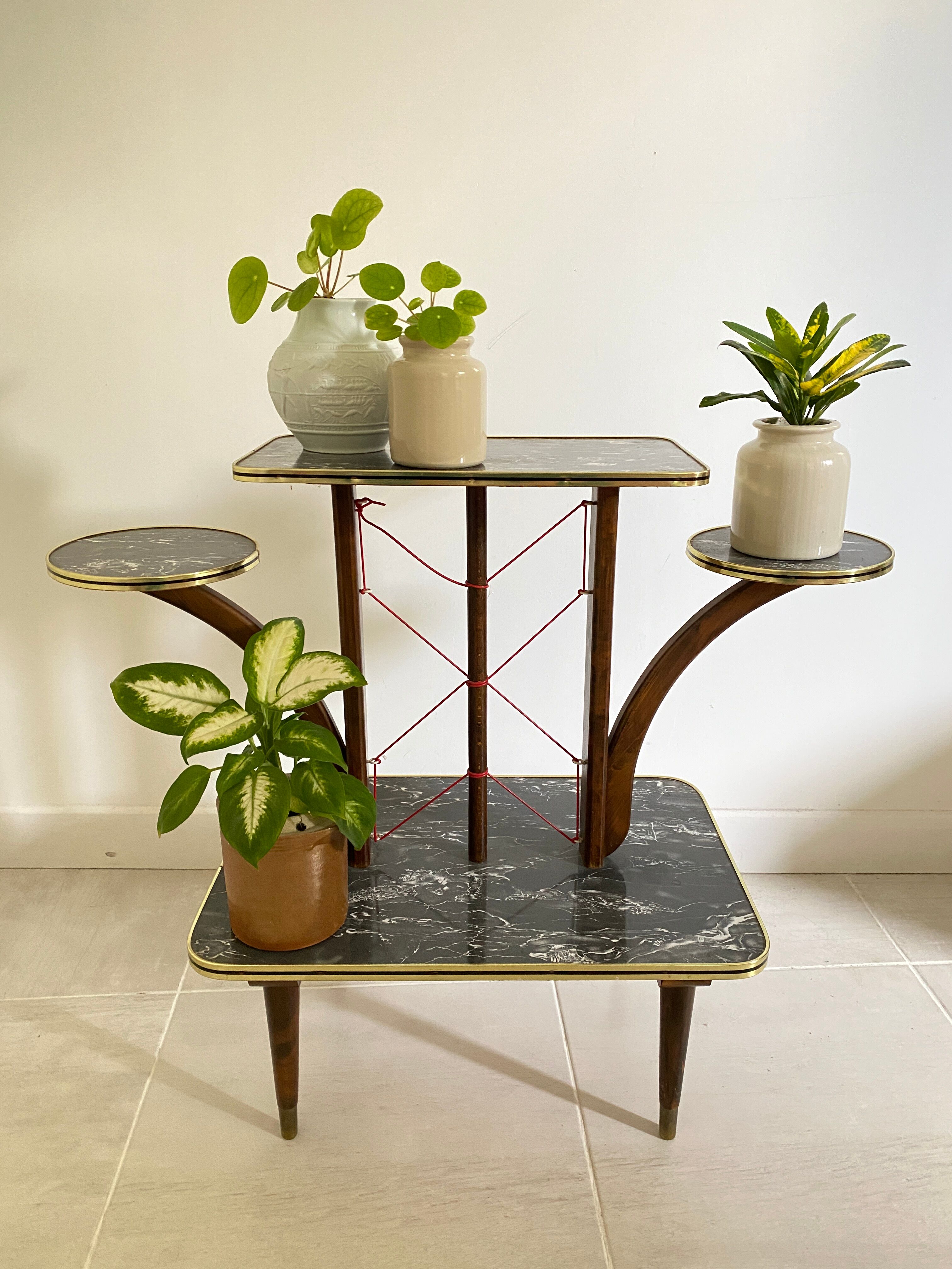 Plant holder