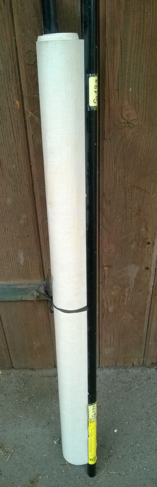 Ancient pedagogical poster "the carnival"