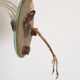 French Vintage Small Mirrored Backplate Wall Sconce Glass Arm & Bobeche
