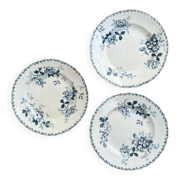Assiette Terre de Fer St Amand Acacia XIX