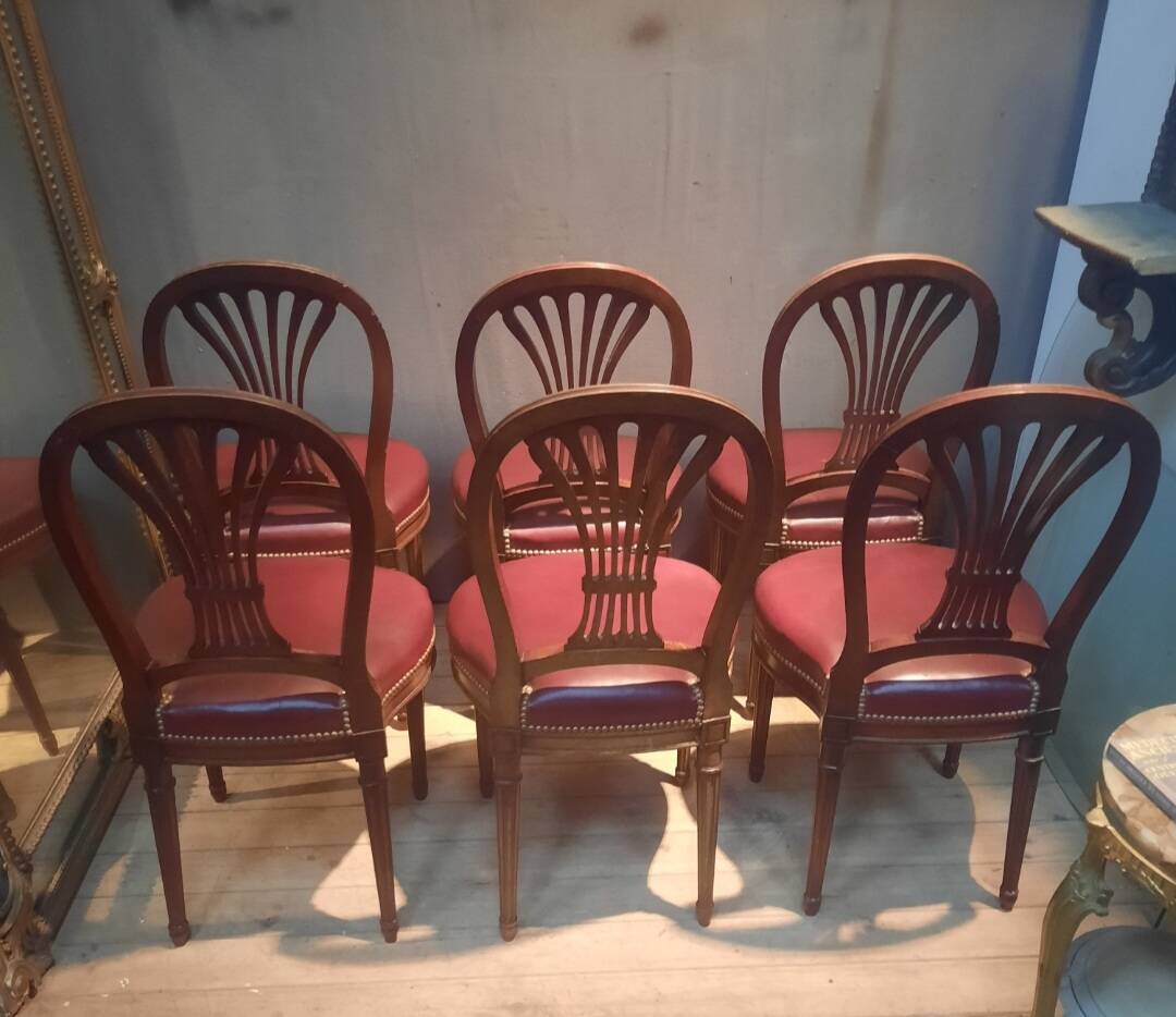 Serie de 6 chaises néo classique  du dix-neuvieme sciecle