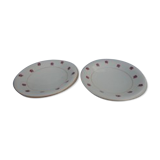 Paire d'assiettes "digoin"