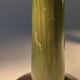 Organic Modern Mario Lopez Torres Style Green Rattan Lamps 1980s