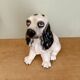 Vintage ceramic dog