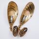 Pair of Bronze Mussel Shell Maison Jansen style Sconces -(2 pairs avail