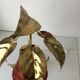 Floor lamp in gold metal