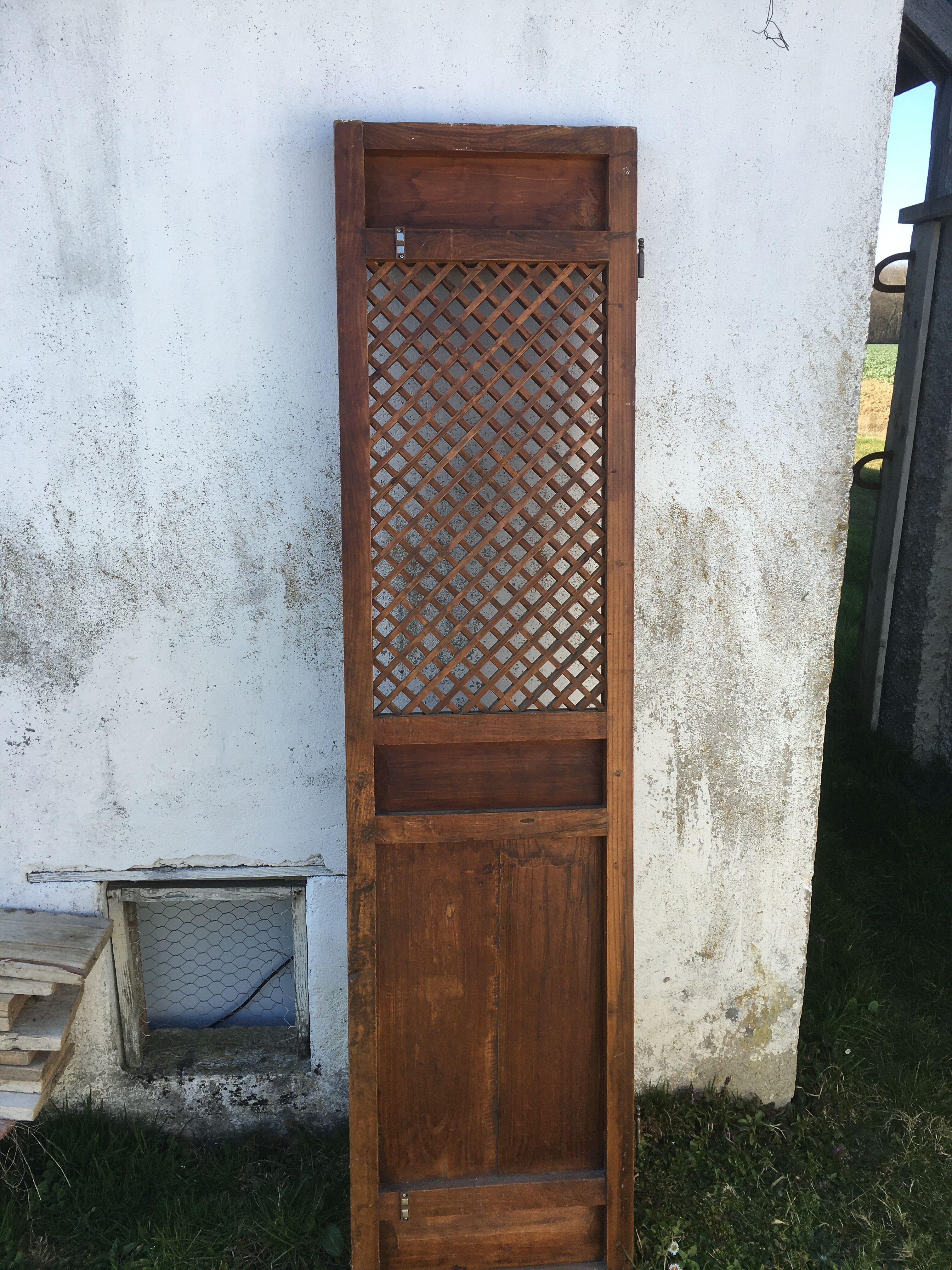 Indian teak door