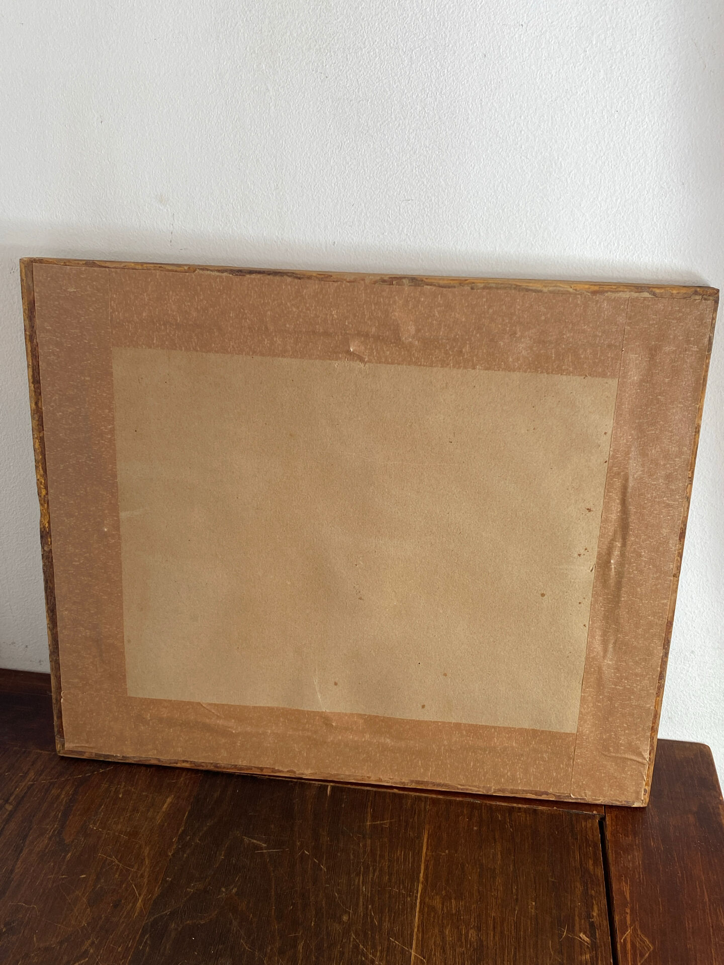 Botanical poster, Prunus Domestica, framed in glass wood.
