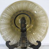 Dish
