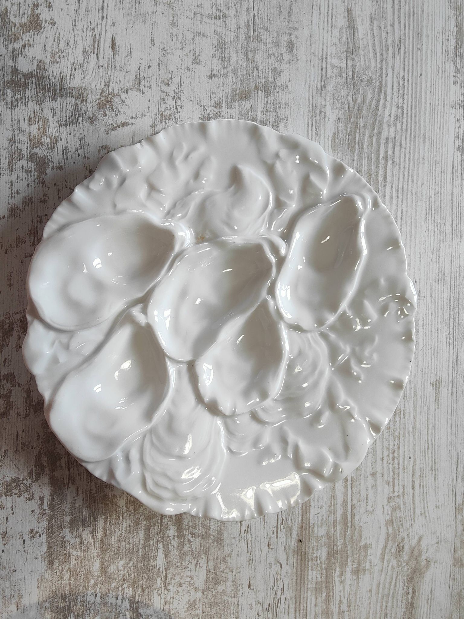 Oyster plate 19th century porcelain Haviland & Co Limoges France