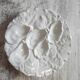 Oyster plate 19th century porcelain Haviland & Co Limoges France