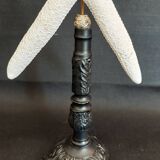 Cabinet of Curiosities white starfish linckia laevigata on base