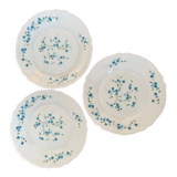 3 Flat white arcopal plates model veronica