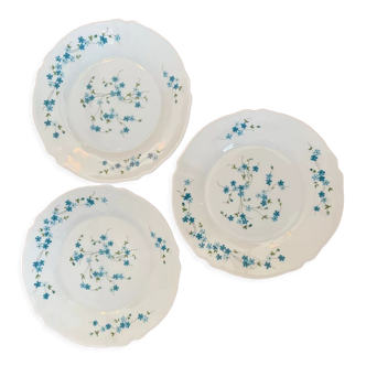3 Assiettes plates  Arcopal blanches modèle veronica