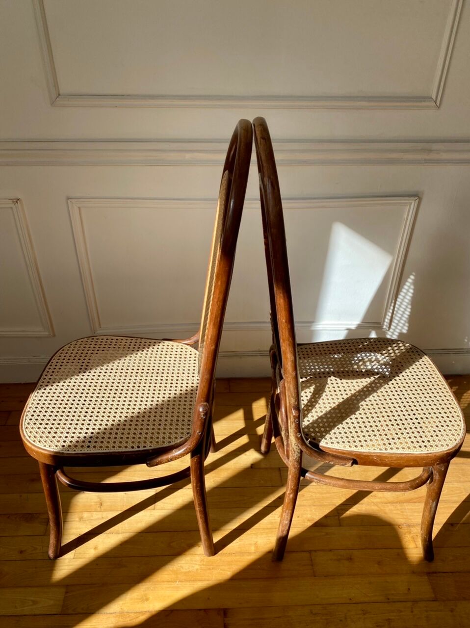 Pair of chairs Thonet 17 reissue FMG