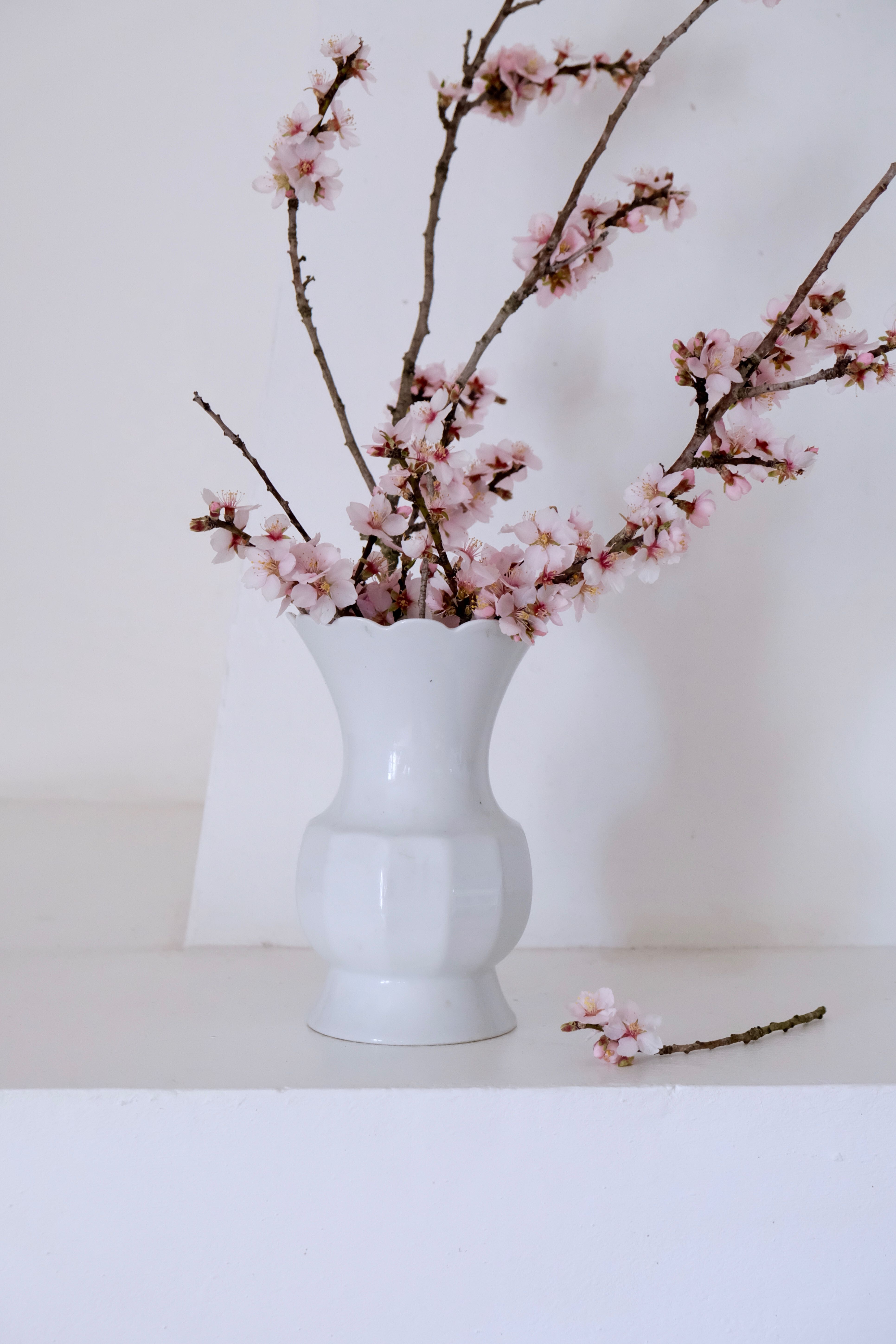 White vase Bareuther Waldsassen 50s