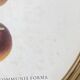 Affiche botanique Malus Communis encadrée