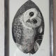 "Night bird" China ink on paper