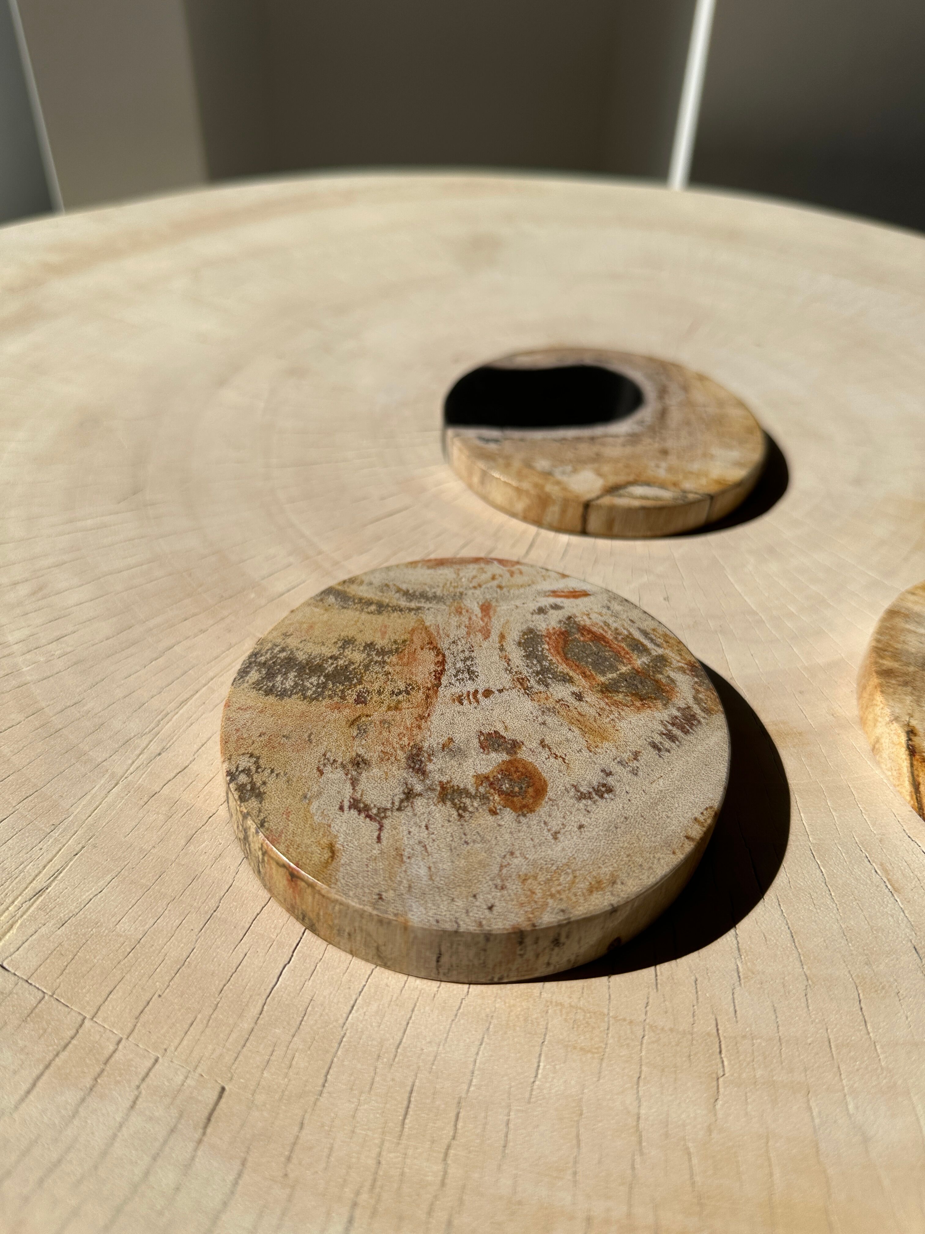 Set of 3 fossilized wooden coasters (clear)