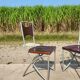 Set of 10 tubular oak bistro dining chairs in vintage industrial style.