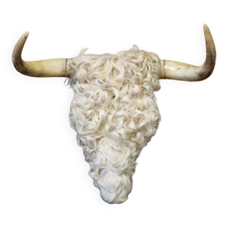 Cow horn trophy