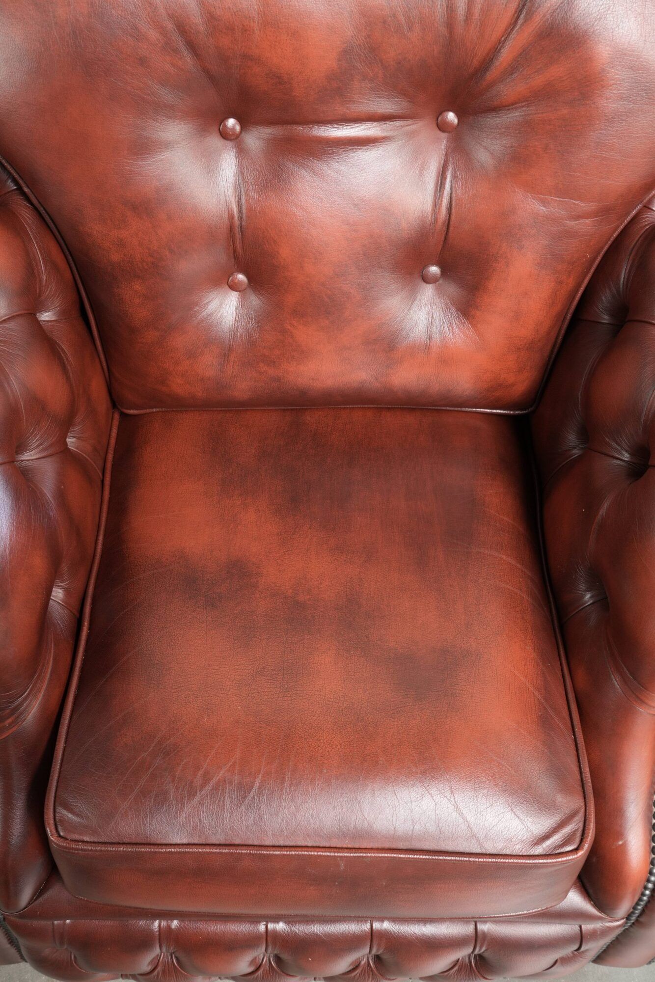 Cowhide chesterfield armchair in a warm brown colour with decorative nails