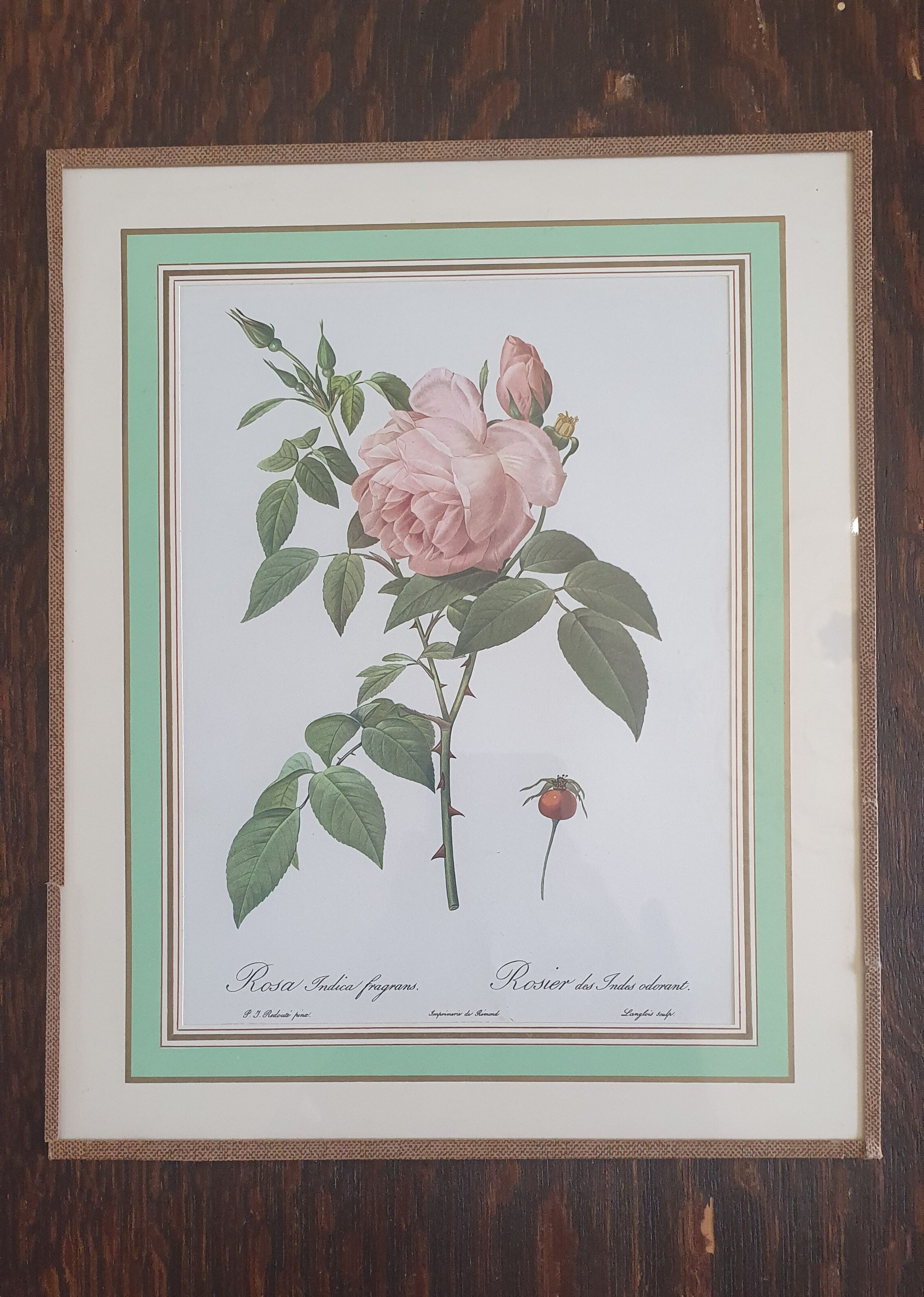 Set of 4 prints after P J Redoute