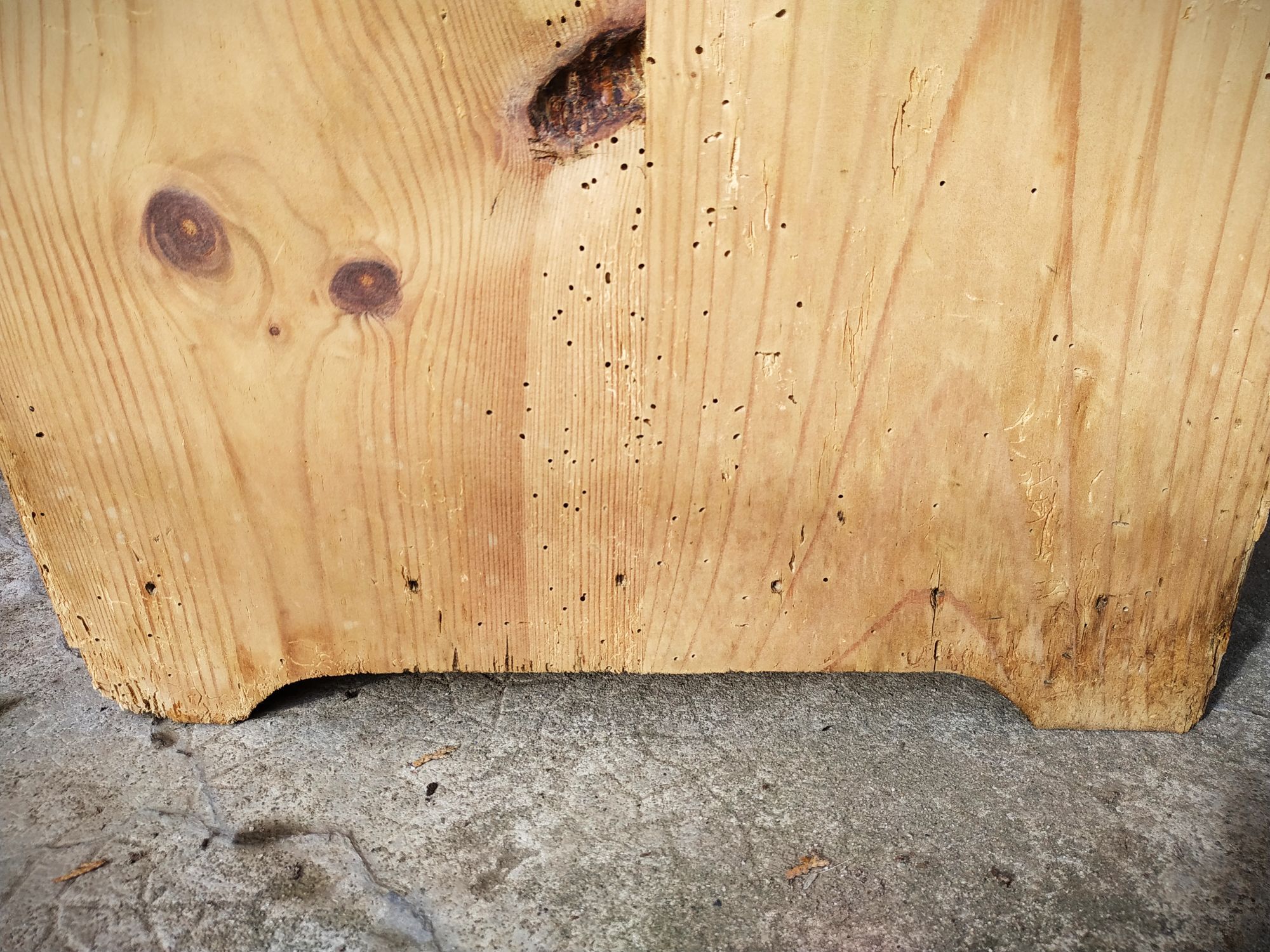 Small old tree closet