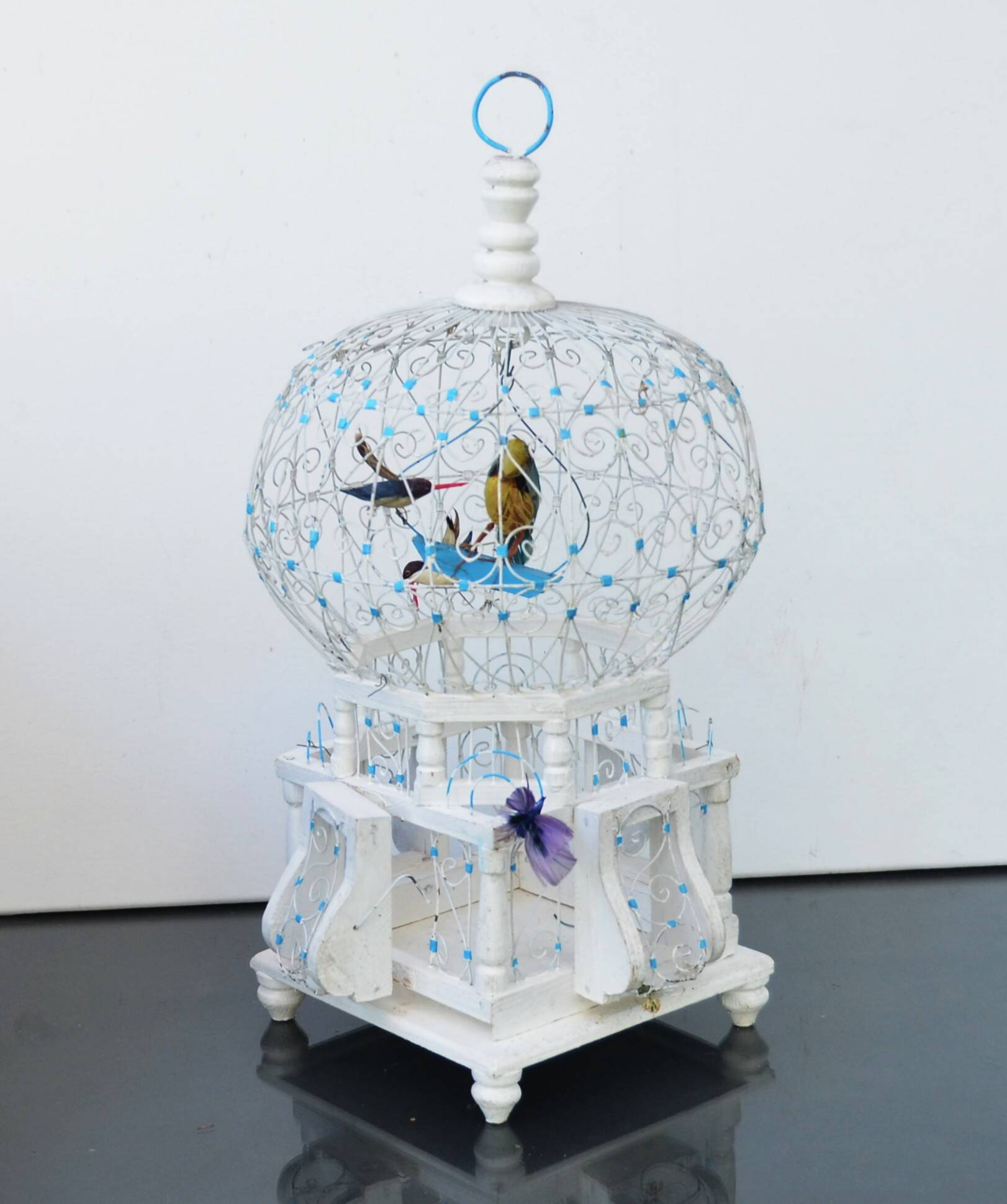 Old Bird Cage Sidi Bou Said