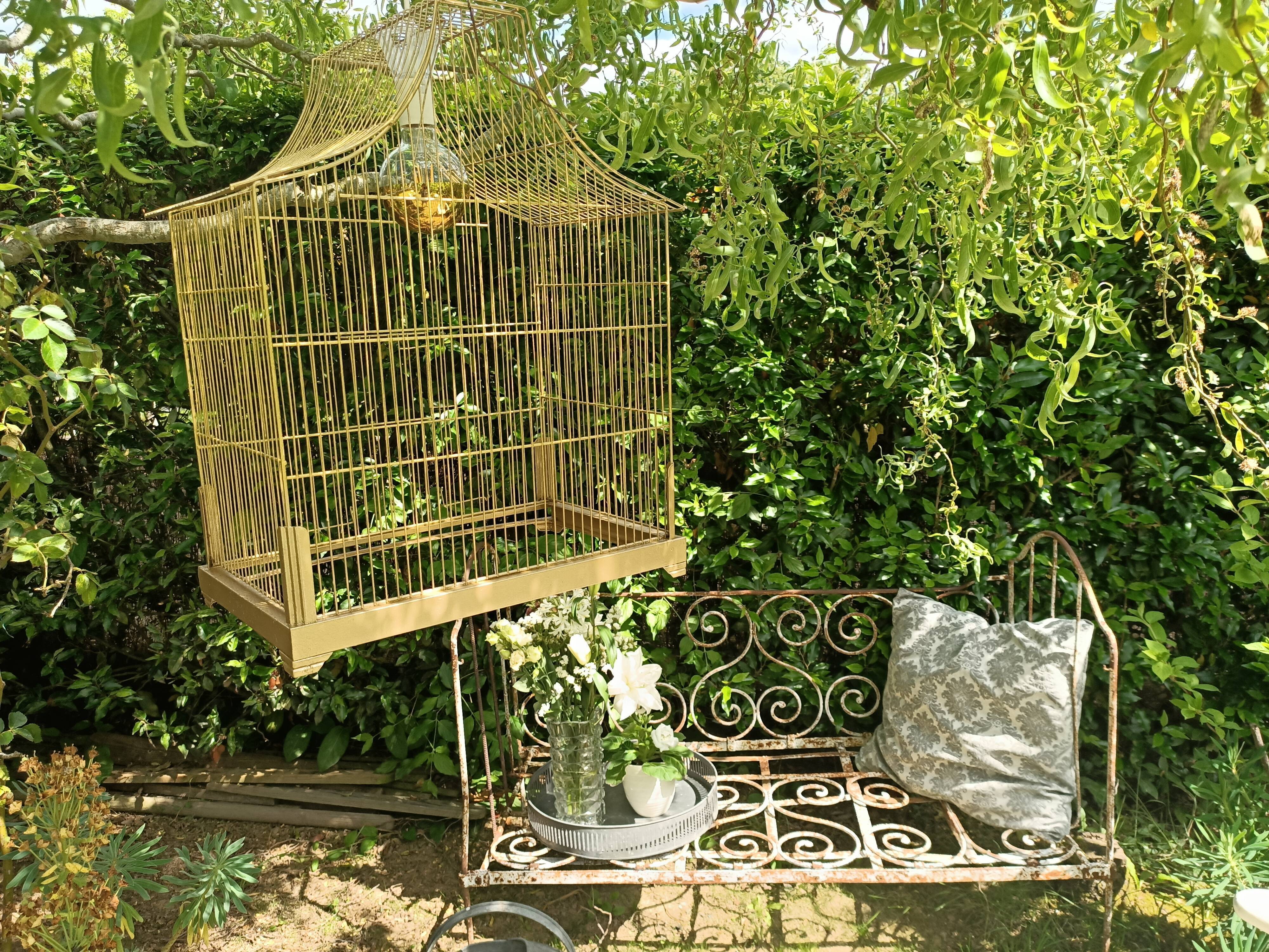 Old bird cage